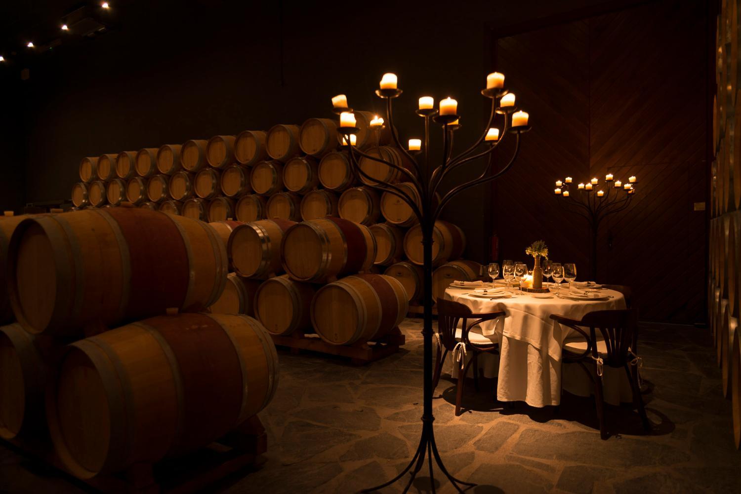 Winery Hotel - Hotel Pago De Cirsus4