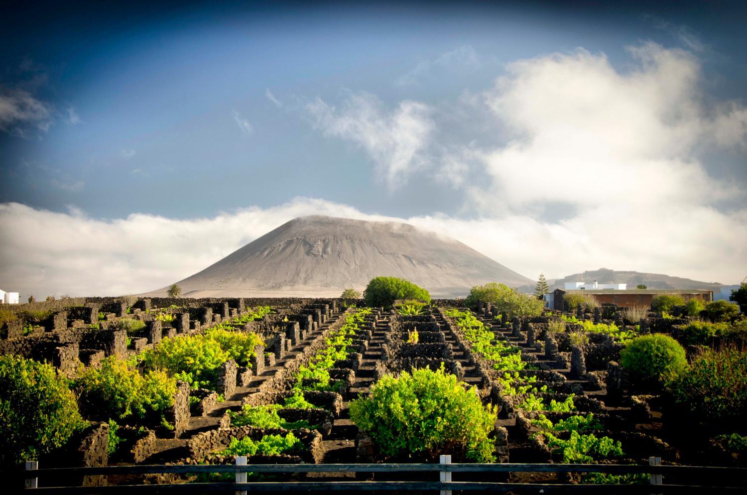 Winery Hotel - Hotel Rural Finca de La Florida4