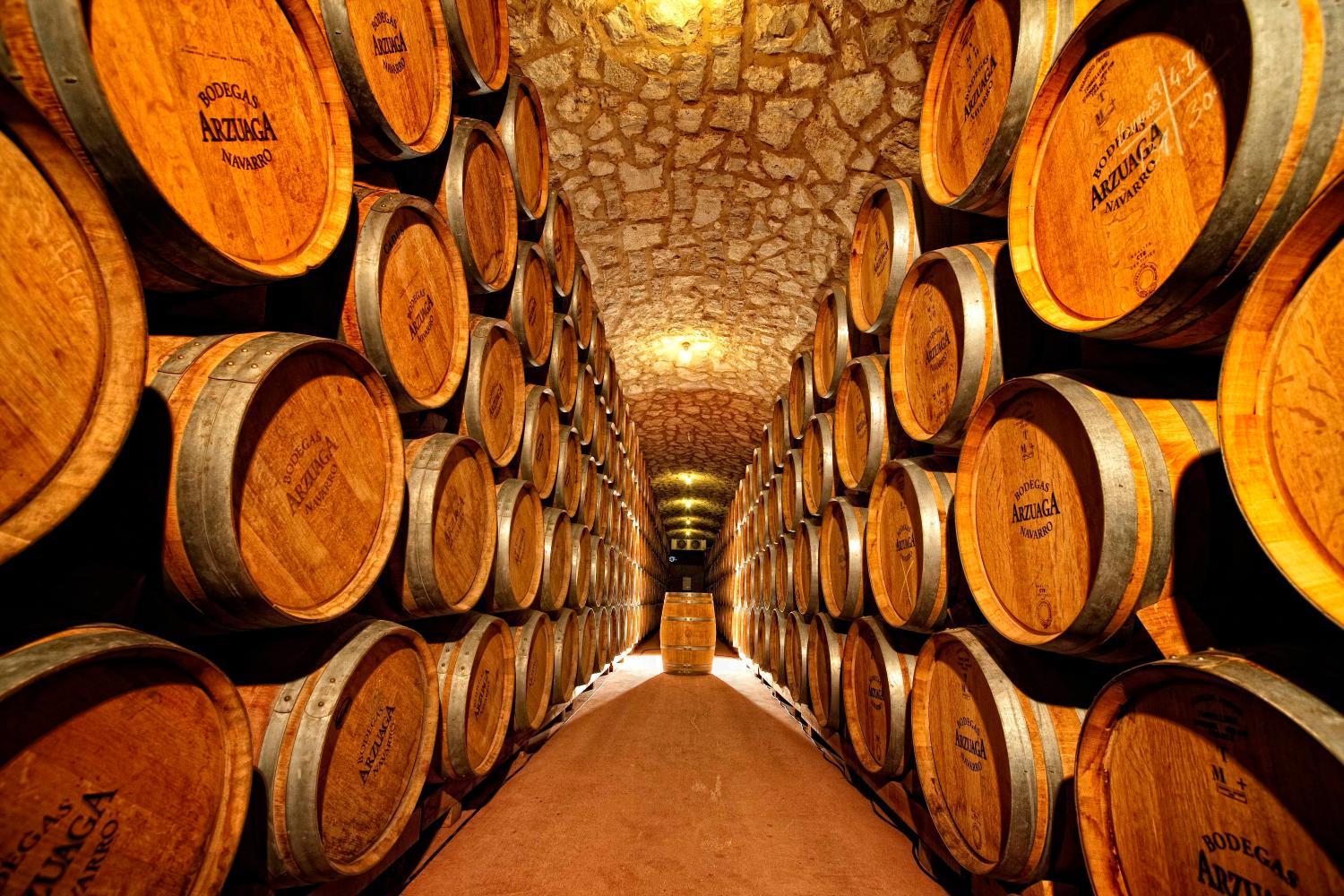 Winery Hotel - Hotel & Spa Arzuaga2