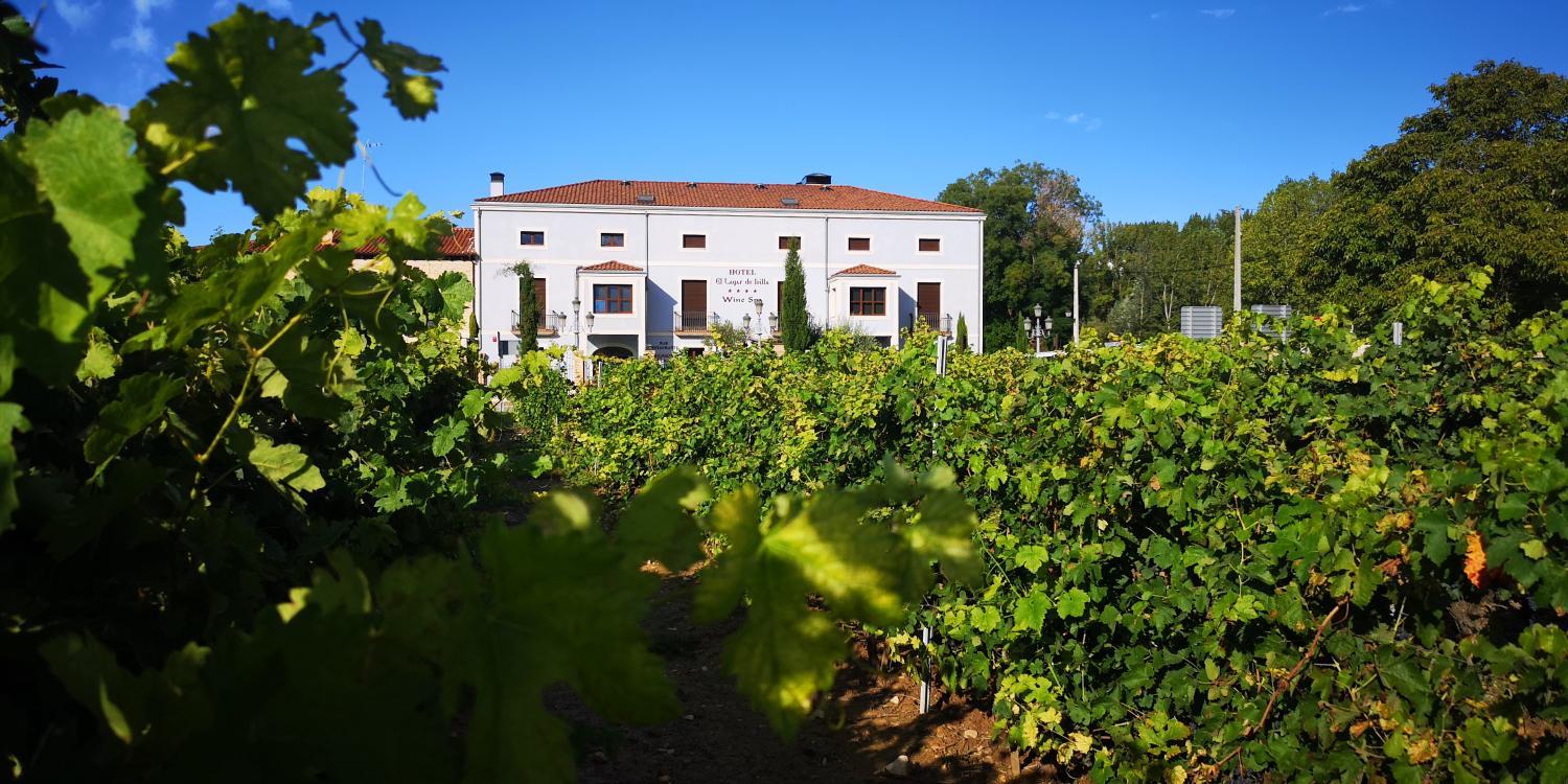 Winery Hotel - Hotel SPA El Lagar de Isilla1