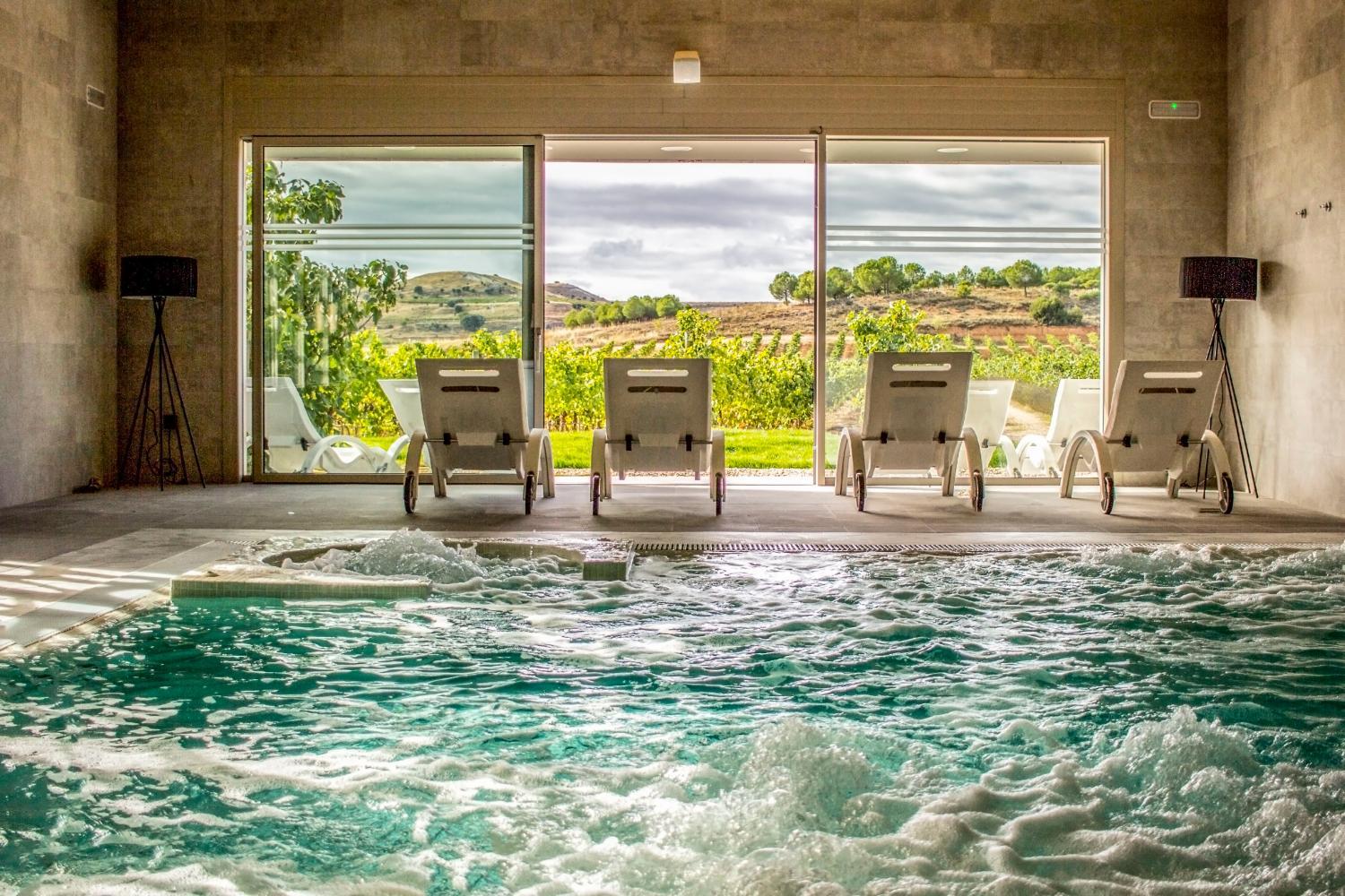 Winery Hotel - Hotel Spa Tudanca Aranda1