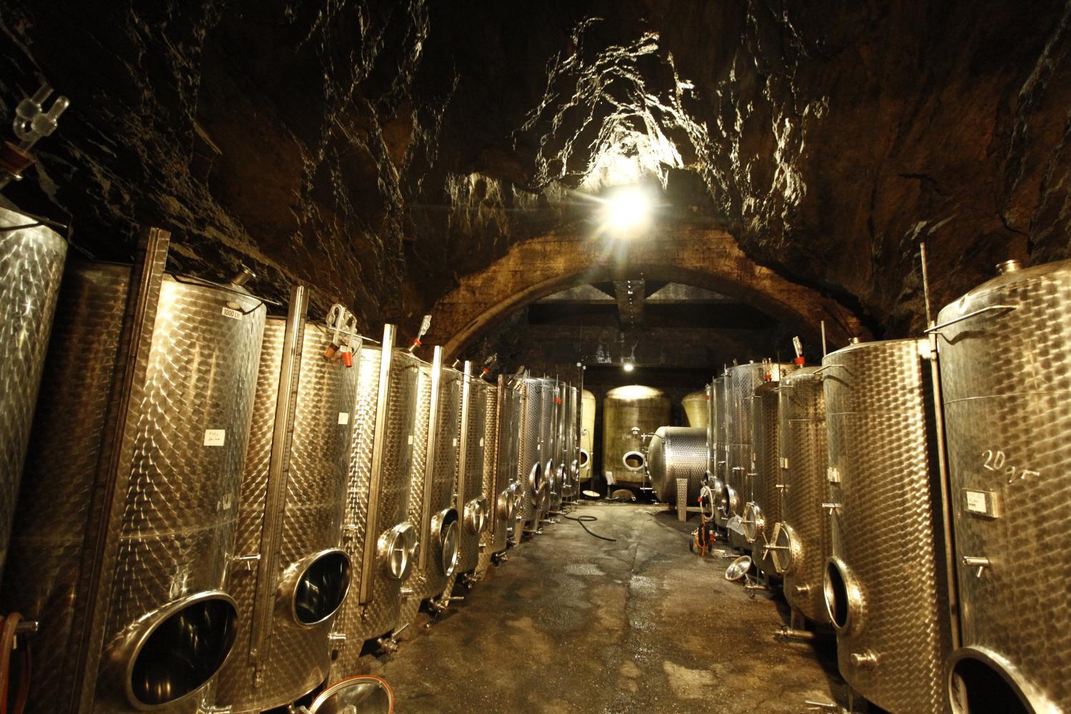 Hotel und Weingut Karlsmühle photo 4