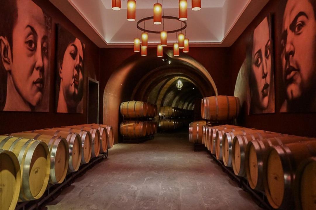 Winery Hotel - Hotel Vinícola Real-200 Monges1