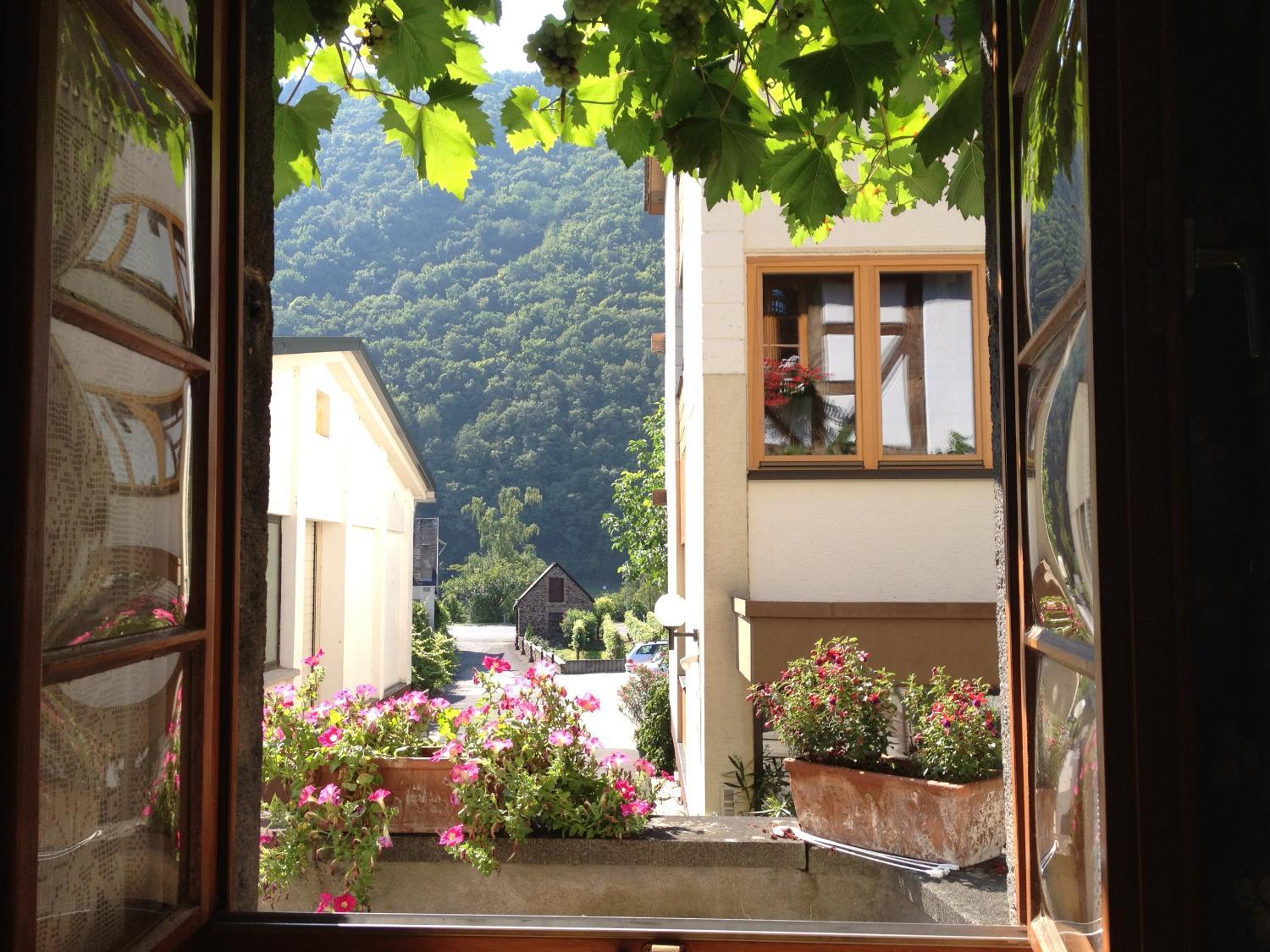 Winery Hotel - Hotel Weingut Dehren3