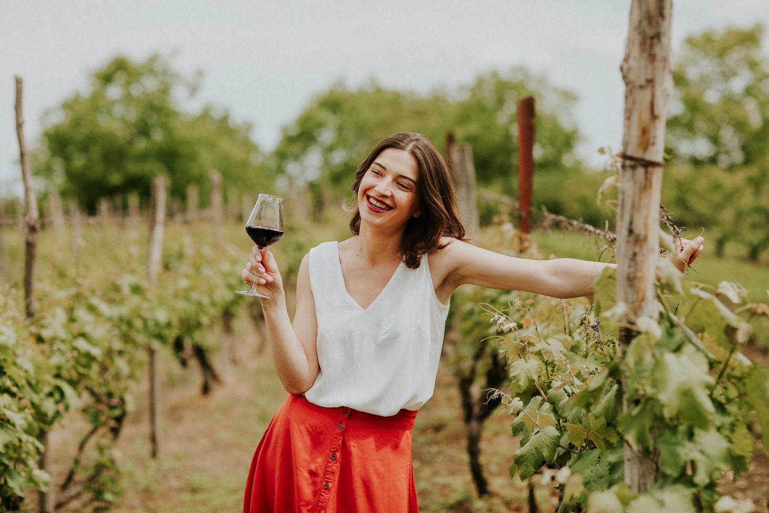 Hotel with winery - Hotel & Wine Cellar ARGE