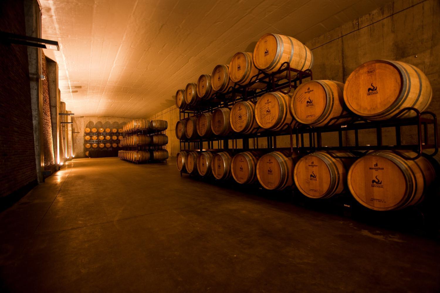 Winery Hotel - Hotel & Winery Señorío de Nevada3