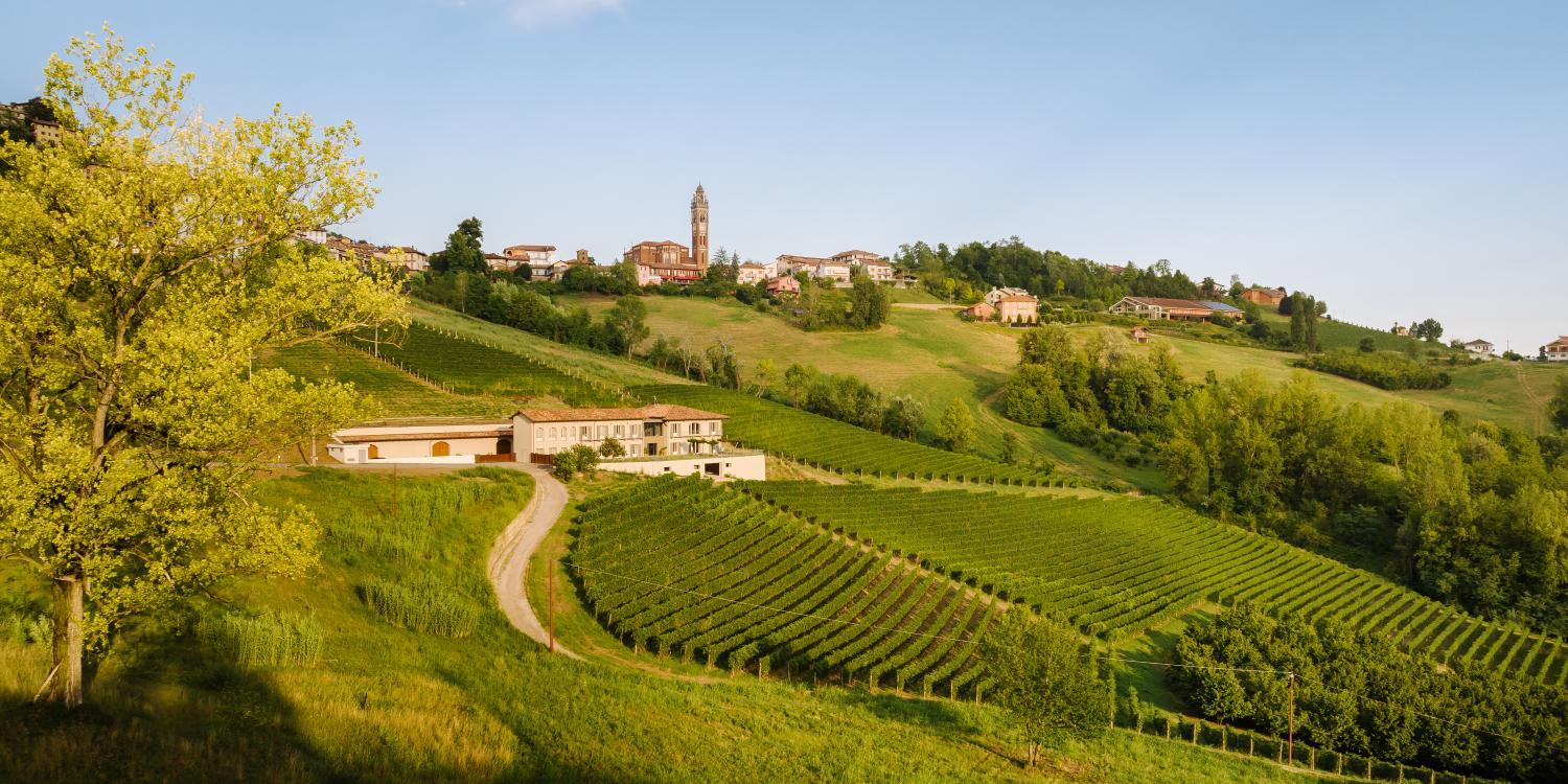 iCOLLIROSSI Agriturismo photo 3