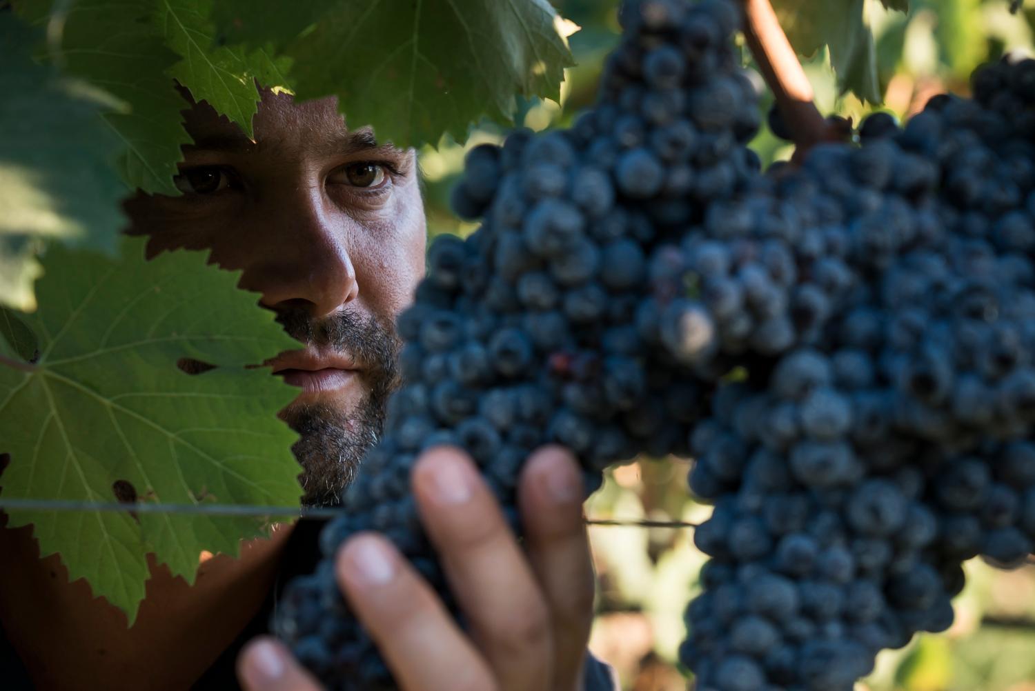 Winery Hotel - Is Cheas wine farm boutique hotel4