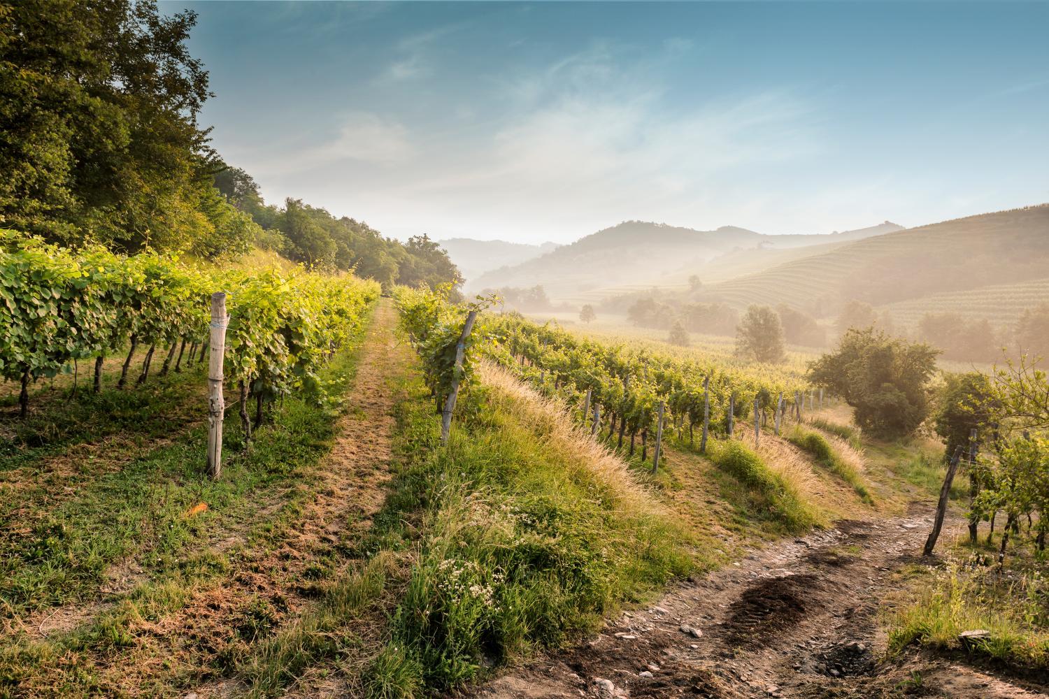 KABAJ Wine & Dine photo 2
