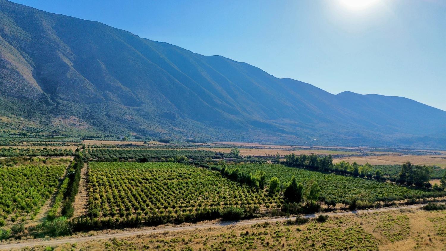 Kantina & Ferma Dukat photo 3