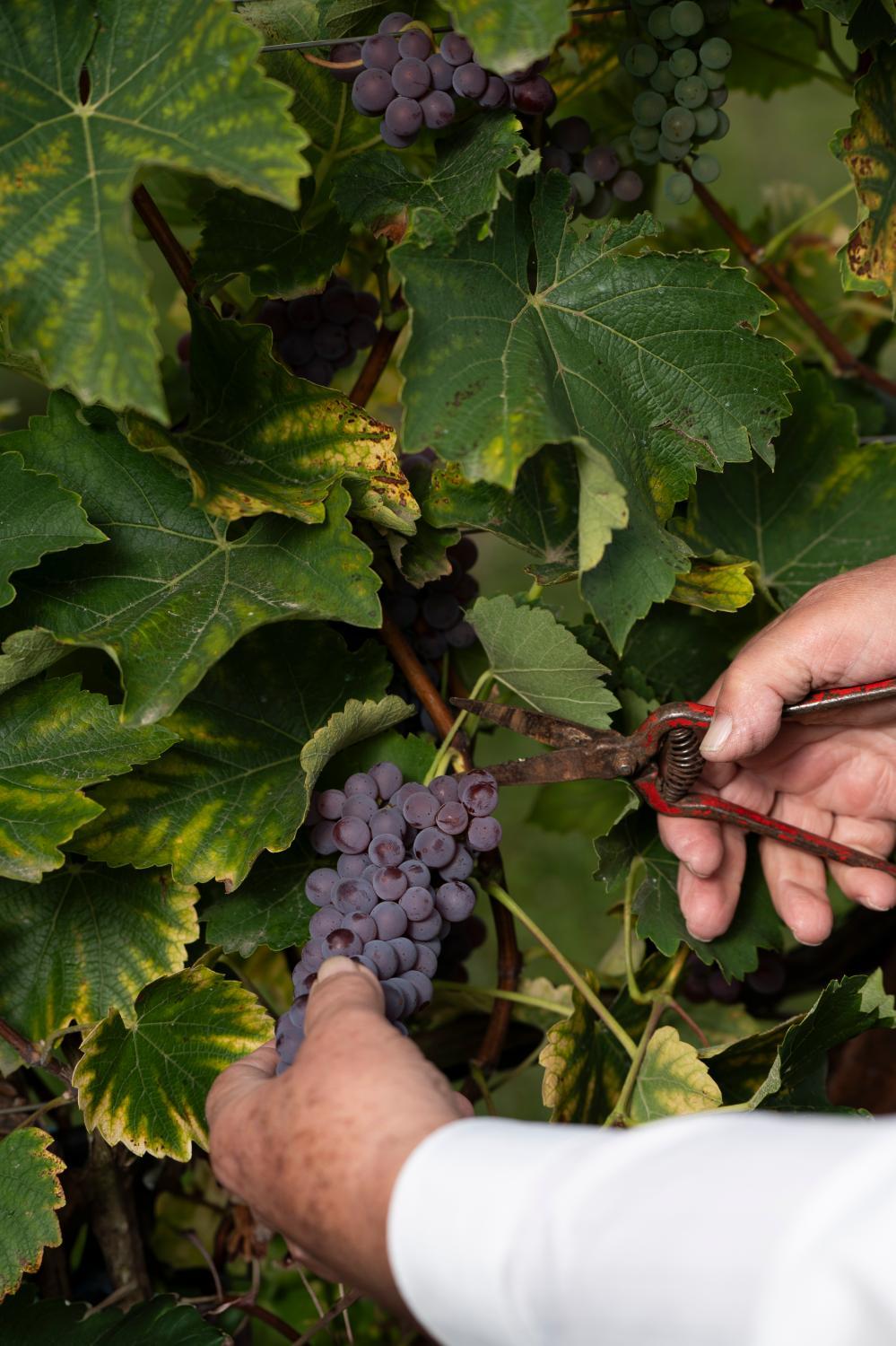 Kasteel van Ordingen photo 3