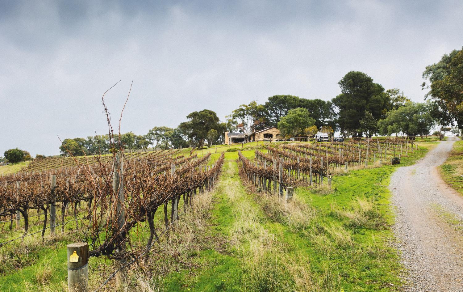 Hotel with winery - Kingsgate Farm-Stay