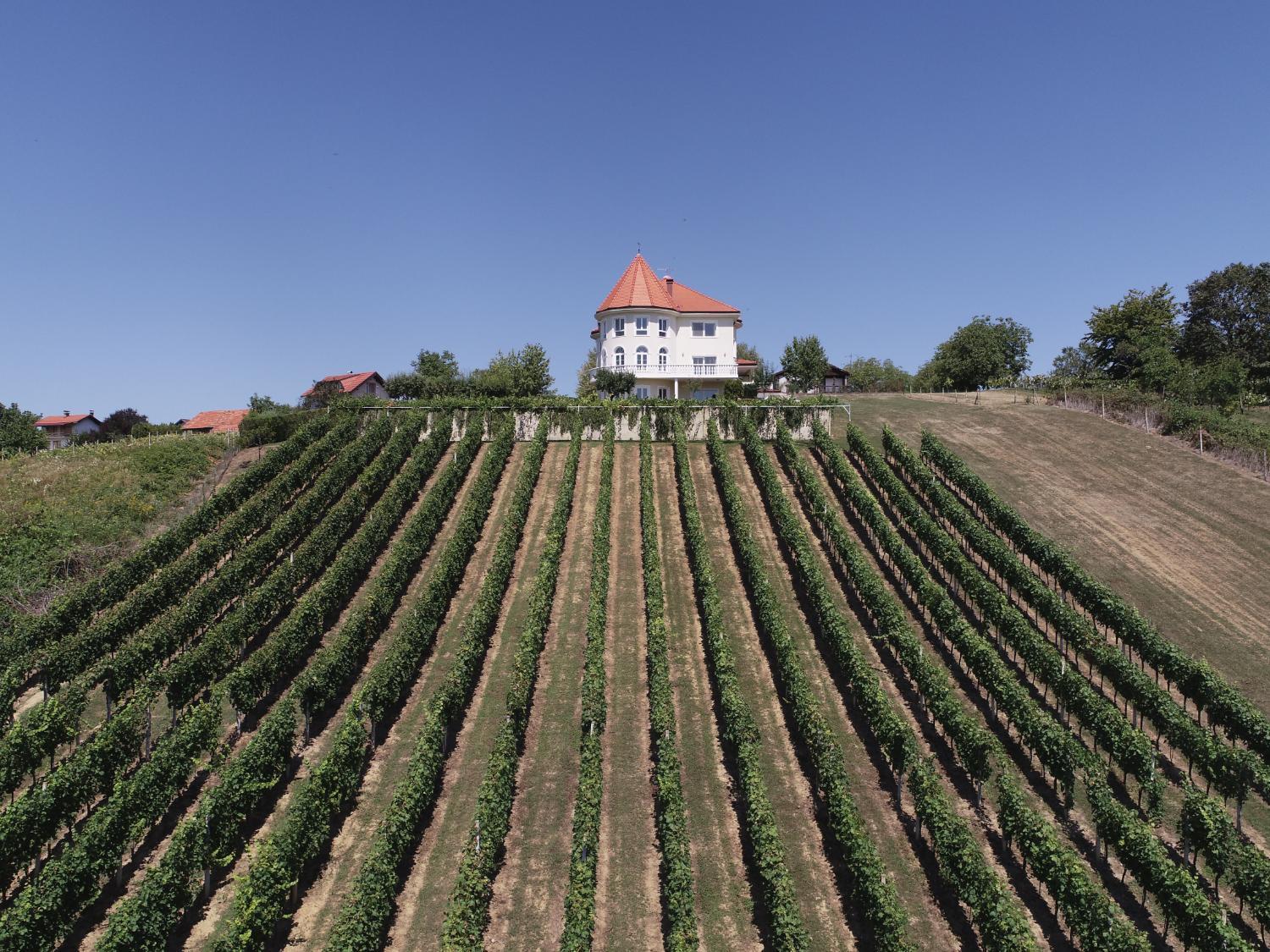 Winery Hotel - Kuća za odmor Sunce1