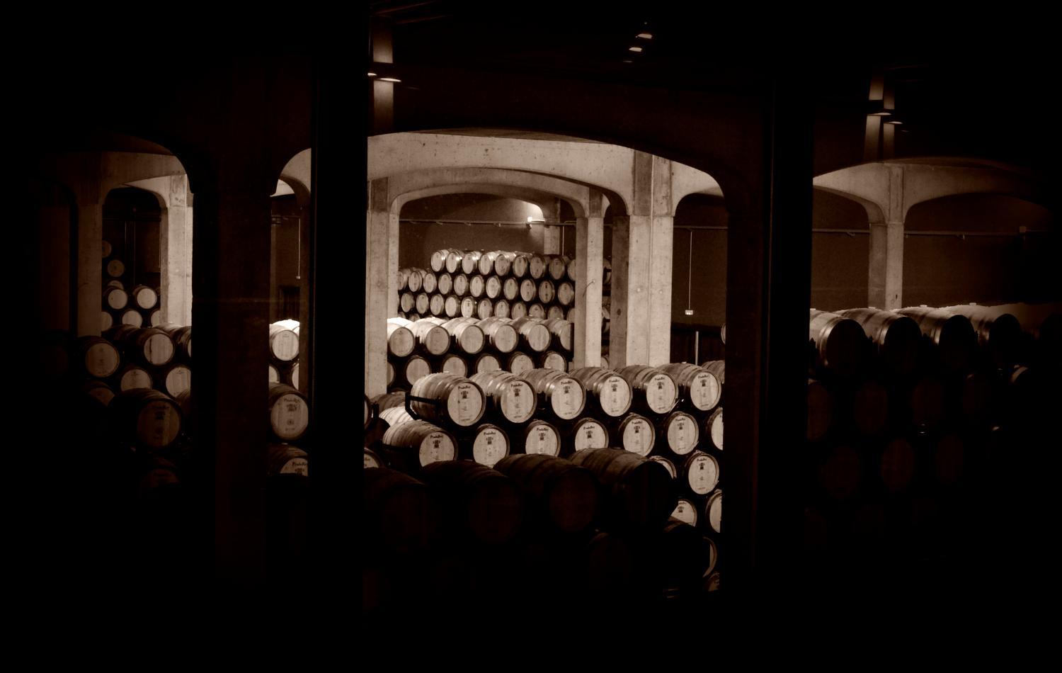 Winery Hotel - La Posada de Pradorey4