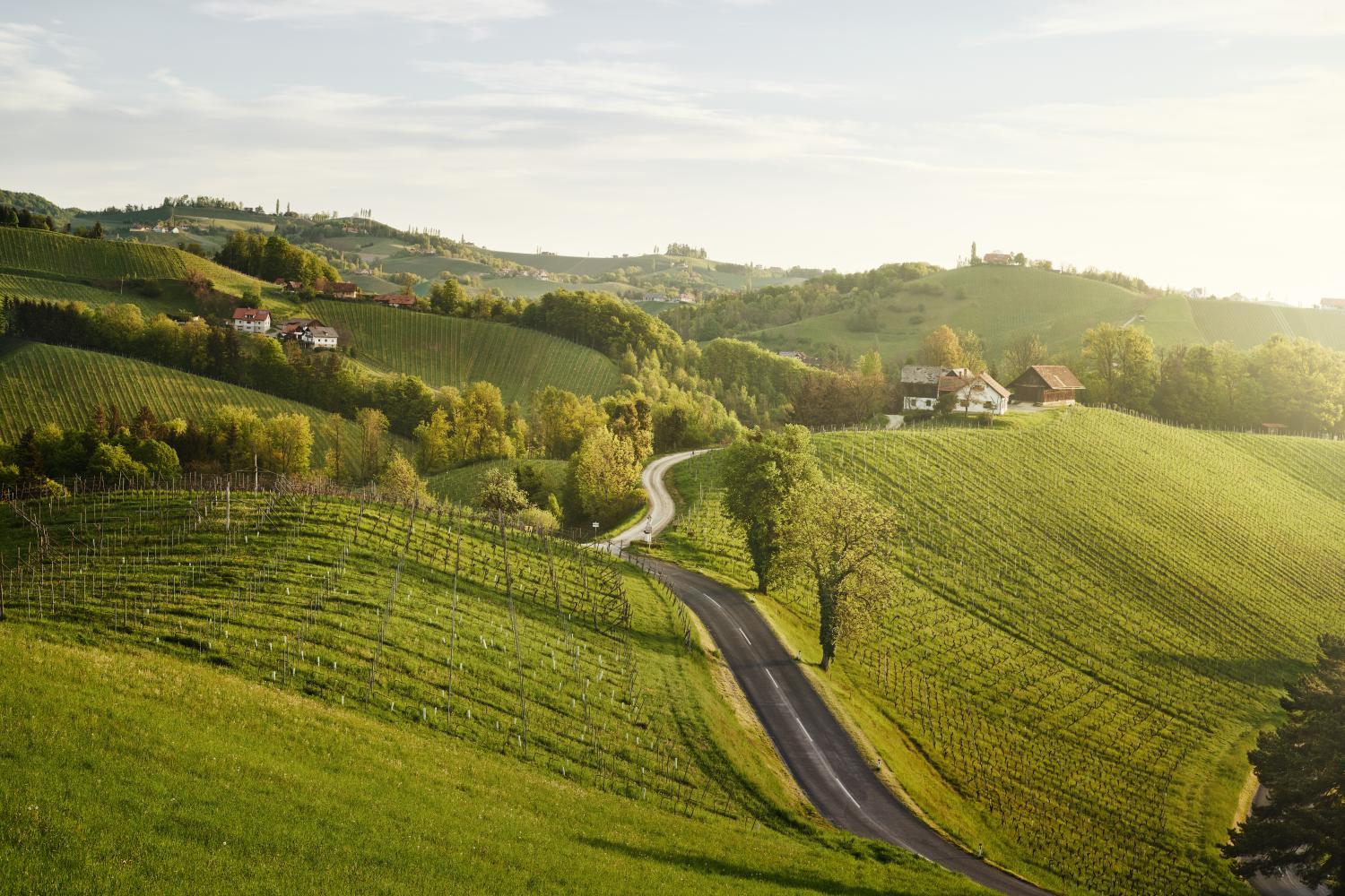 Hotel with winery - Landgut am Pöbnitzberg