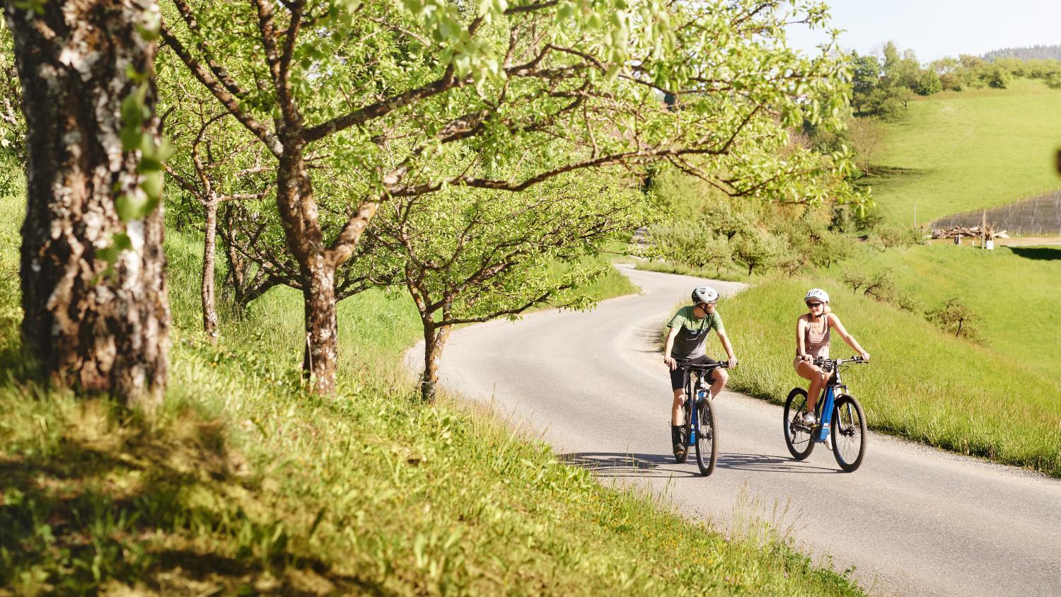 Winery Hotel - Landgut am Pöbnitzberg2