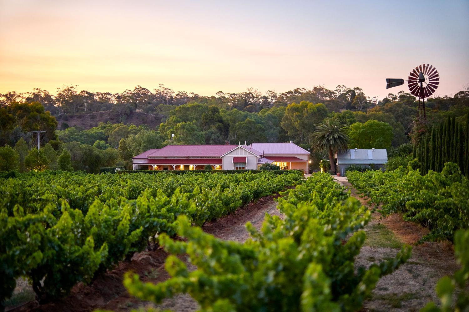 Hotel with winery - Le Mas Barossa