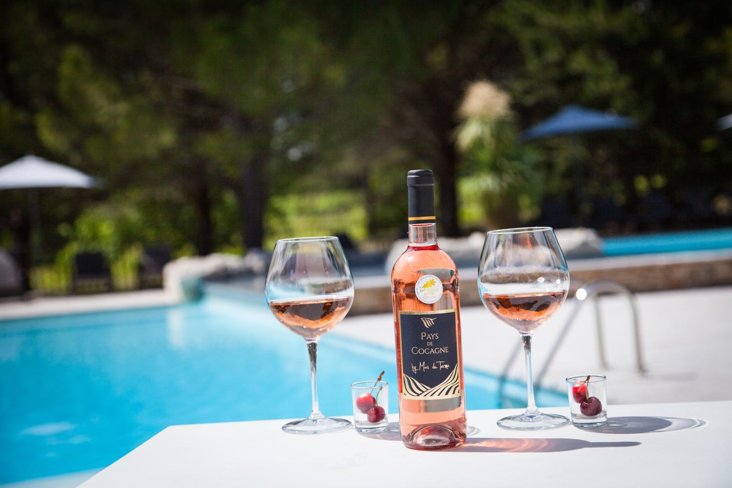 Winery Hotel - Le Mas du Terme3