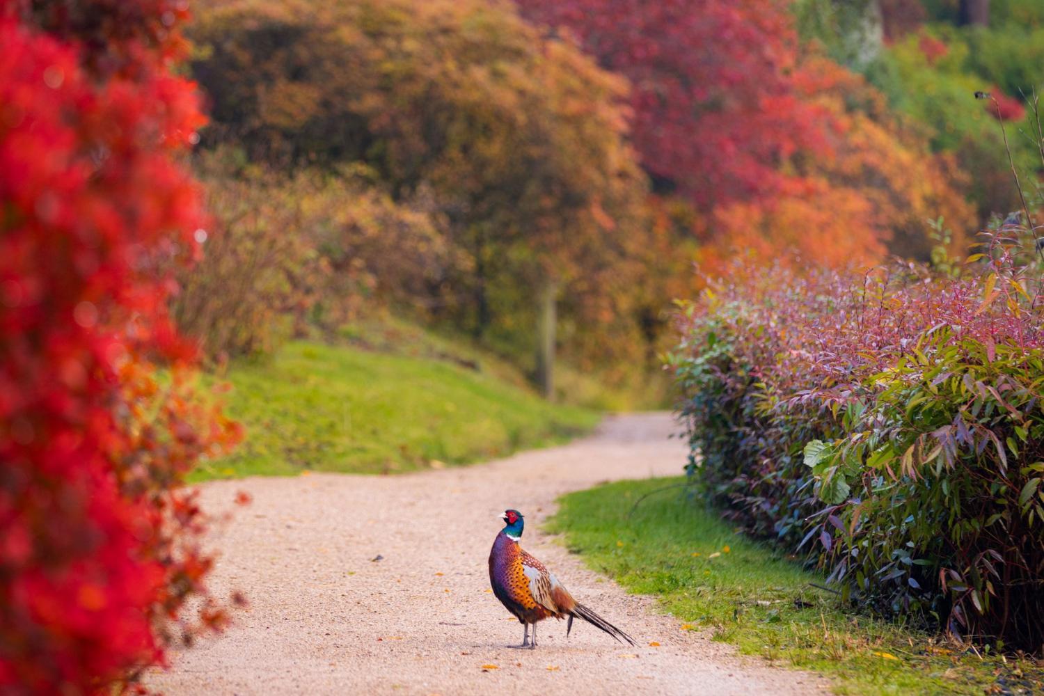 Winery Hotel - Leonardslee House at Leonardslee Lakes & Gardens4