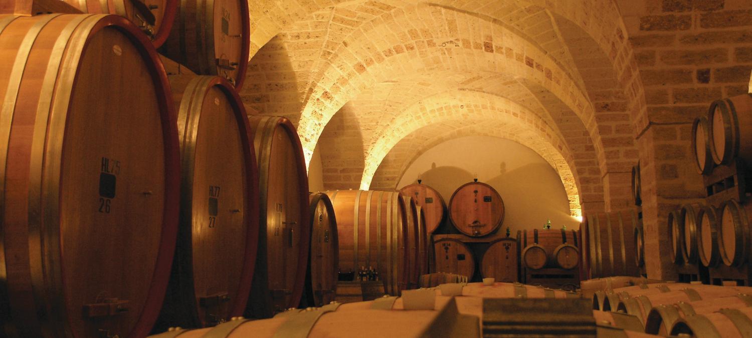 Leone de Castris Wine Hotel photo 4