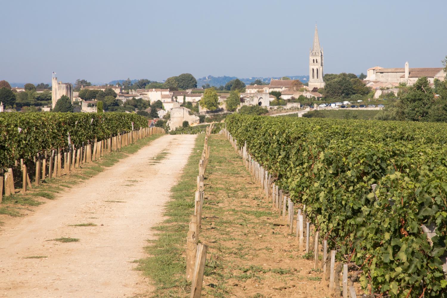 Les Clefs de Troplong Mondot photo 2