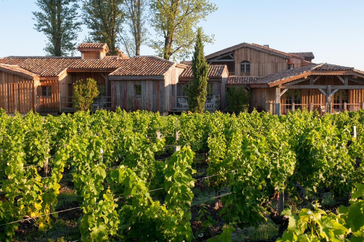 Winery Hotel - Les Sources de Caudalie1