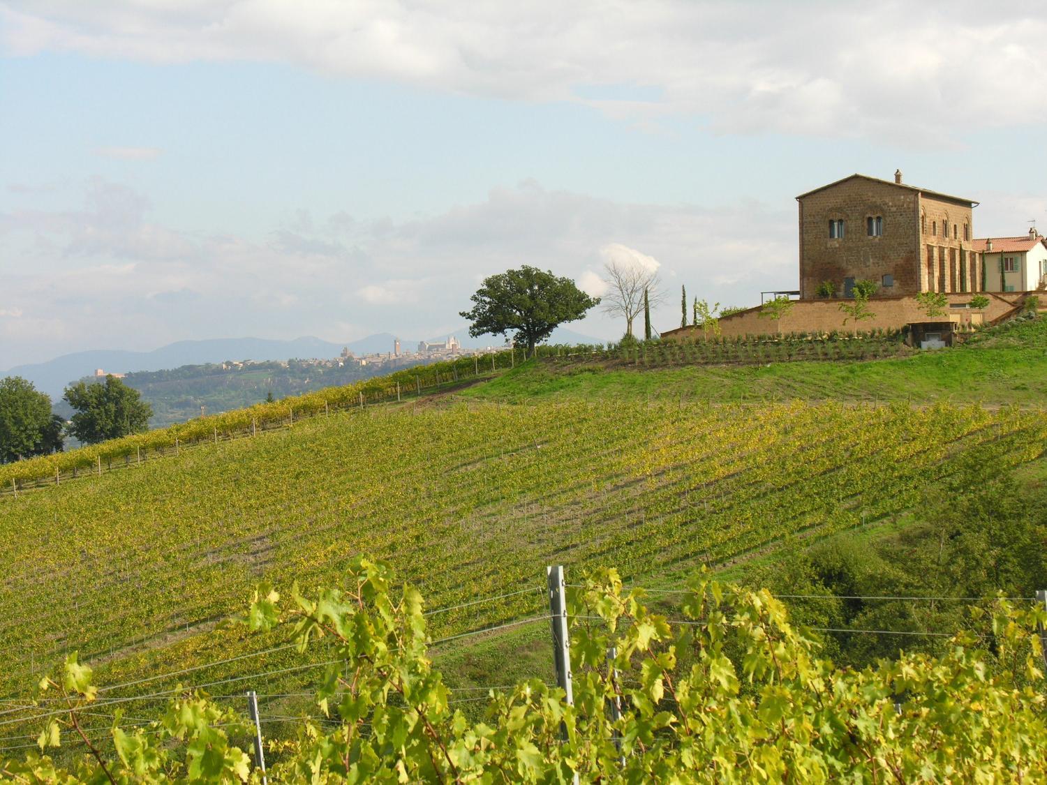 Hotel with winery - Locanda Palazzone
