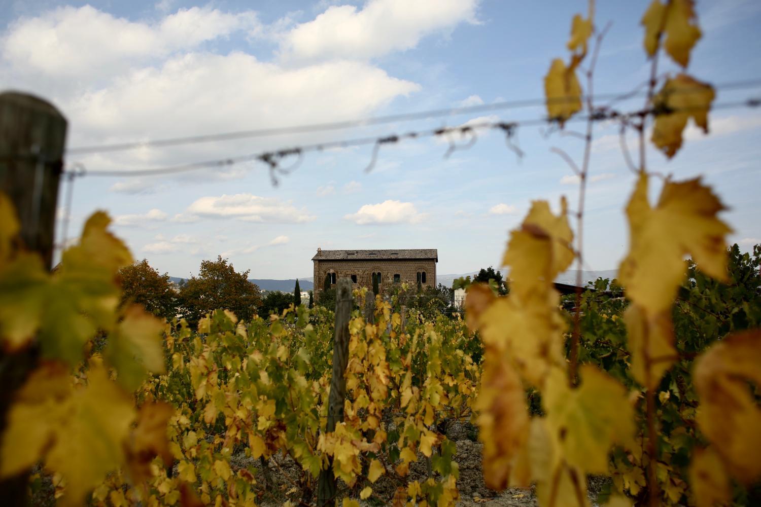 Winery Hotel - Locanda Palazzone3