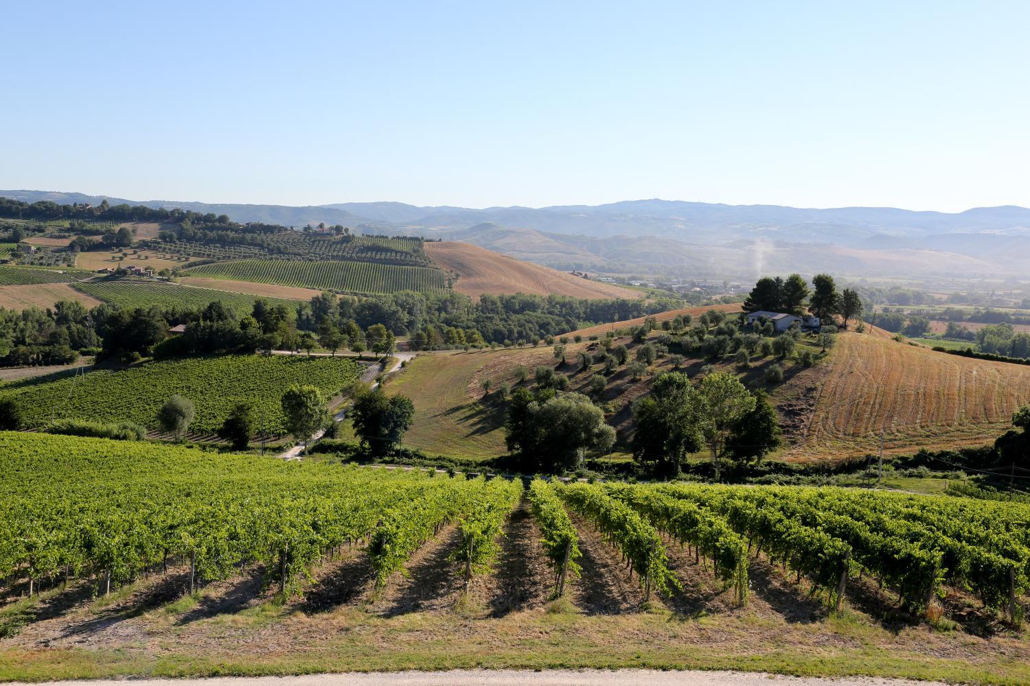 Winery Hotel - Locanda Palazzone4