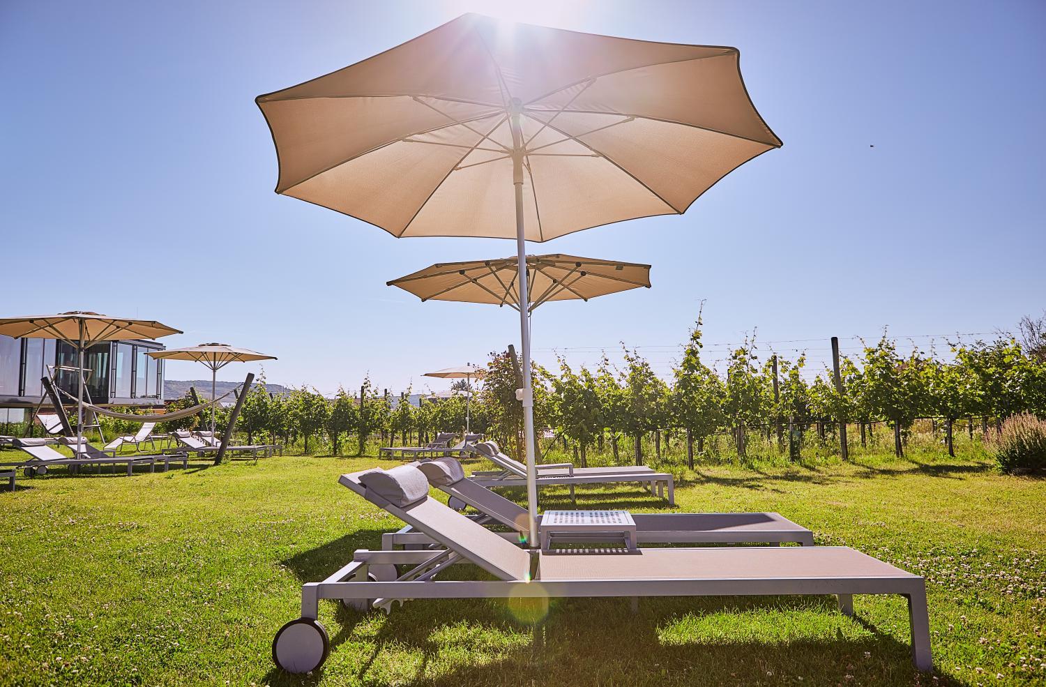 Winery Hotel - LOISIUM Wine & Spa Hotel Langenlois3