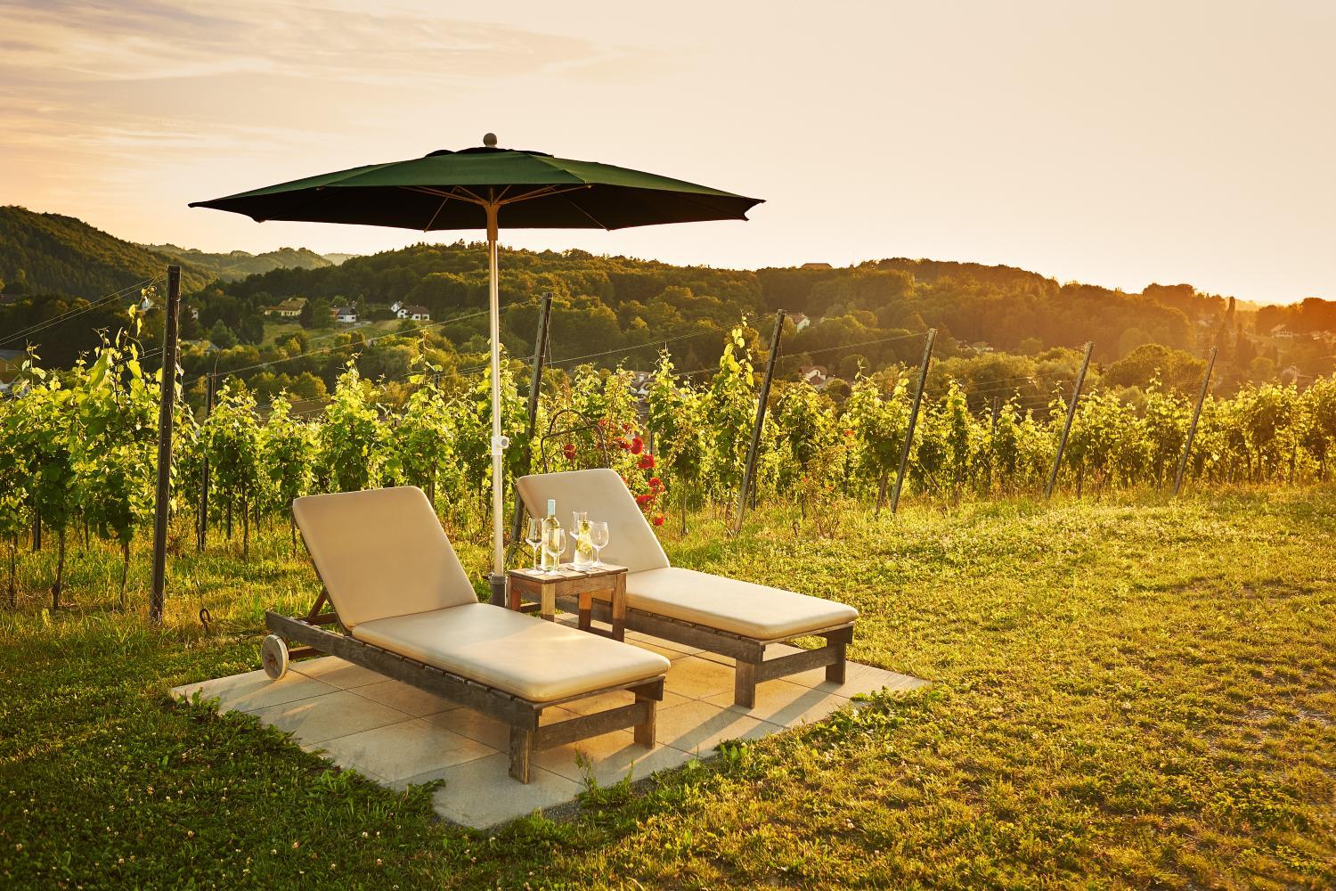 Hotel with winery - LOISIUM Wine & Spa Hotel Südsteiermark