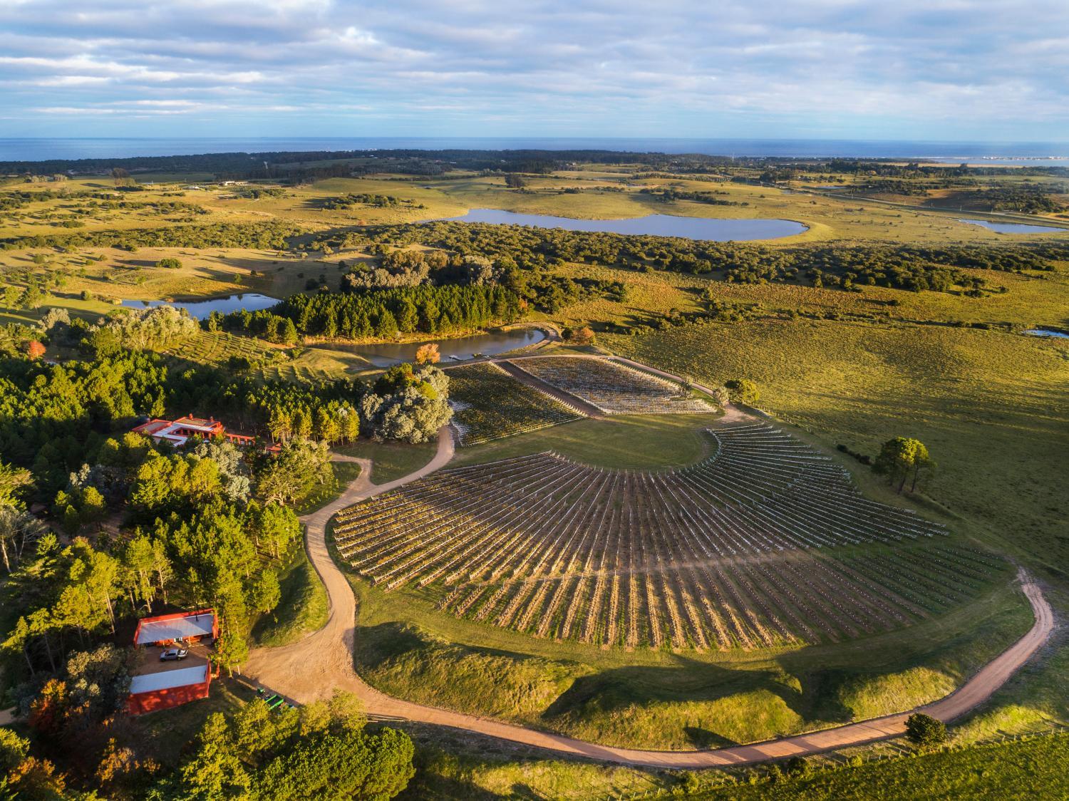 Hotel with winery - LUZ Culinary Wine Lodge