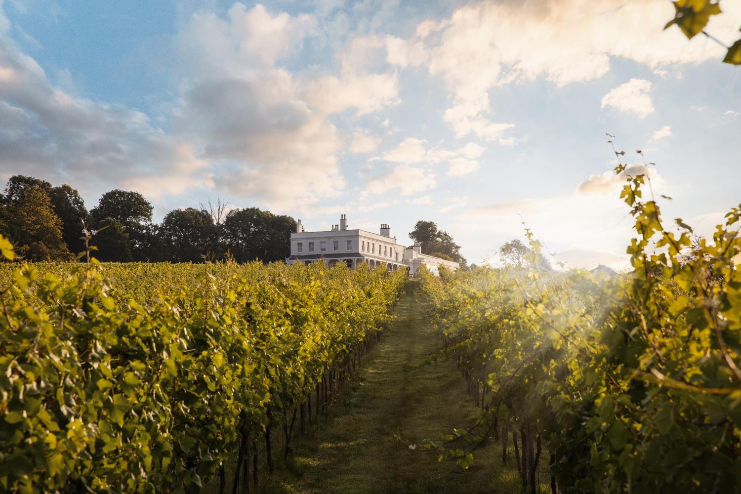 Hotel with winery - Lympstone Manor Hotel Restaurant & Vineyard - Relais & Chateaux