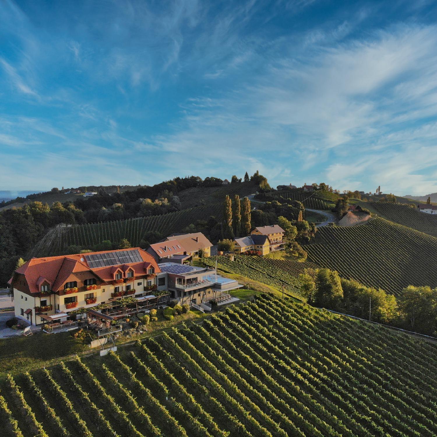 Hotel with winery - Mahorko Wein Wellness Wasserbüffel