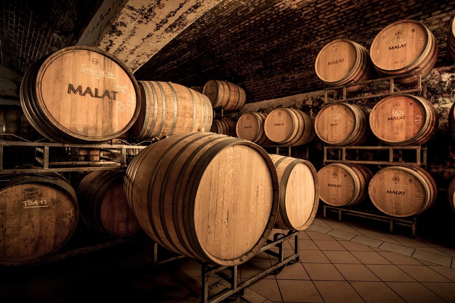 MALAT Weingut und Hotel photo 3