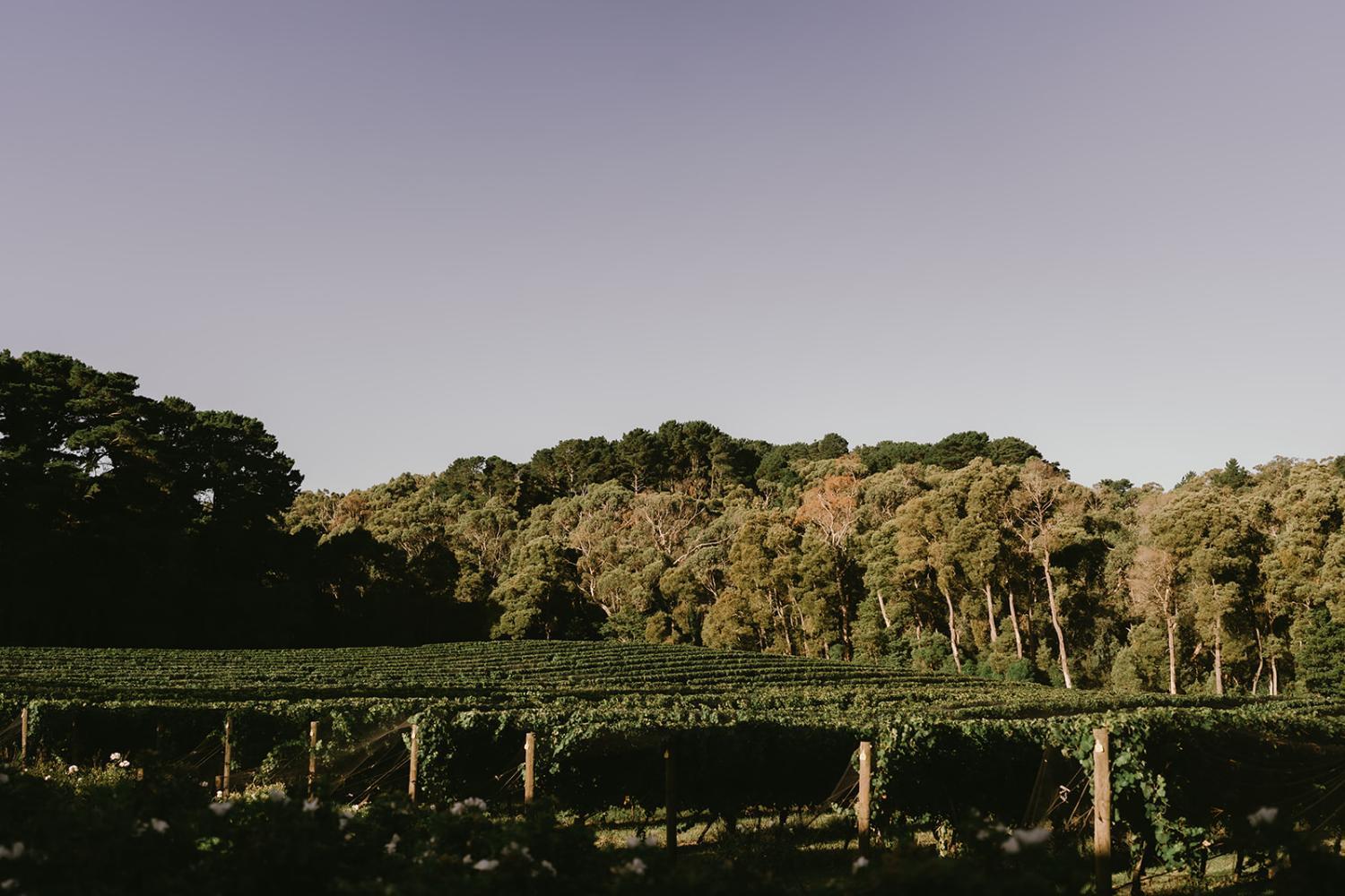 Mantons Creek Estate photo 1