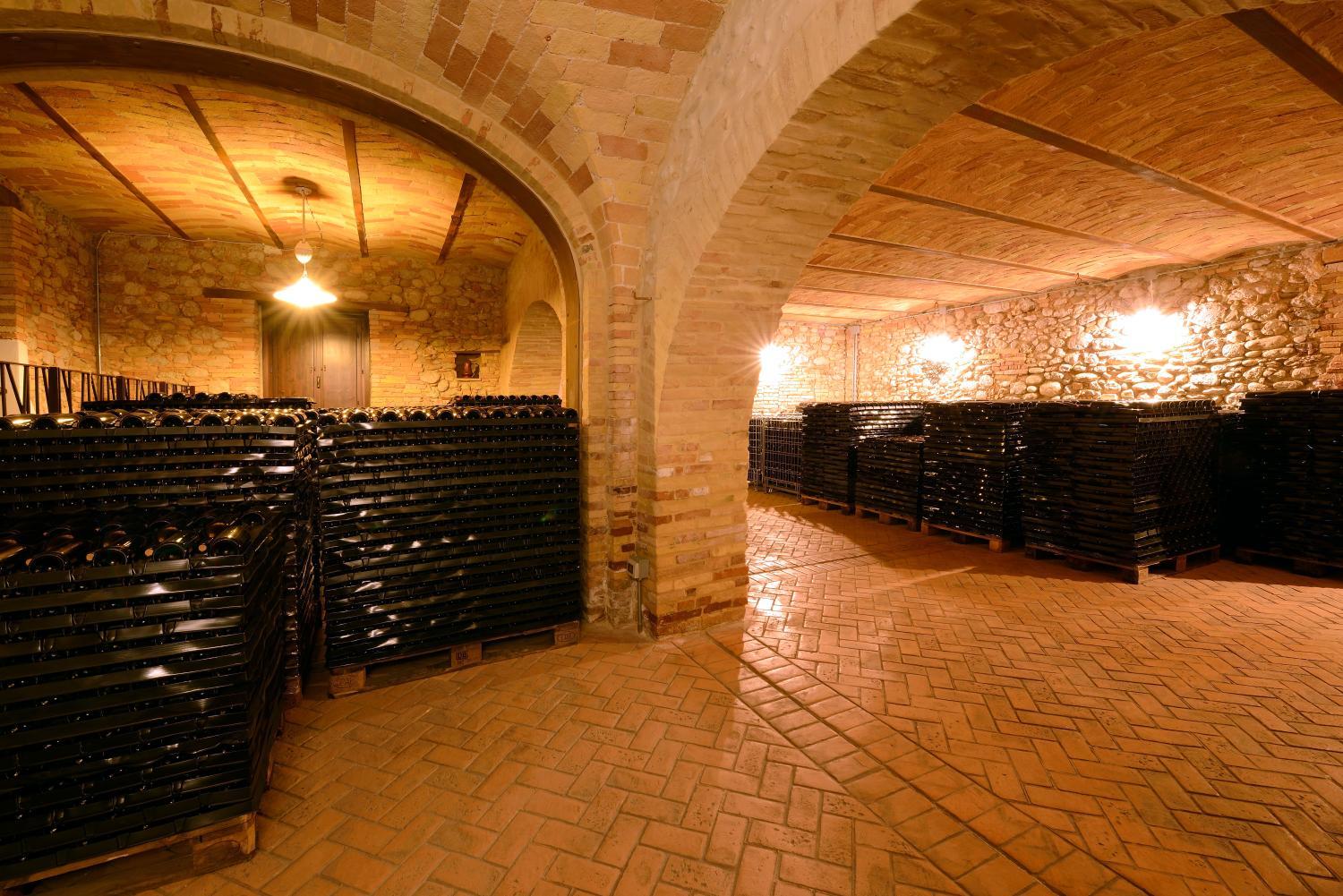Masseria del Vino - Ciavolich Wine Relais photo 3