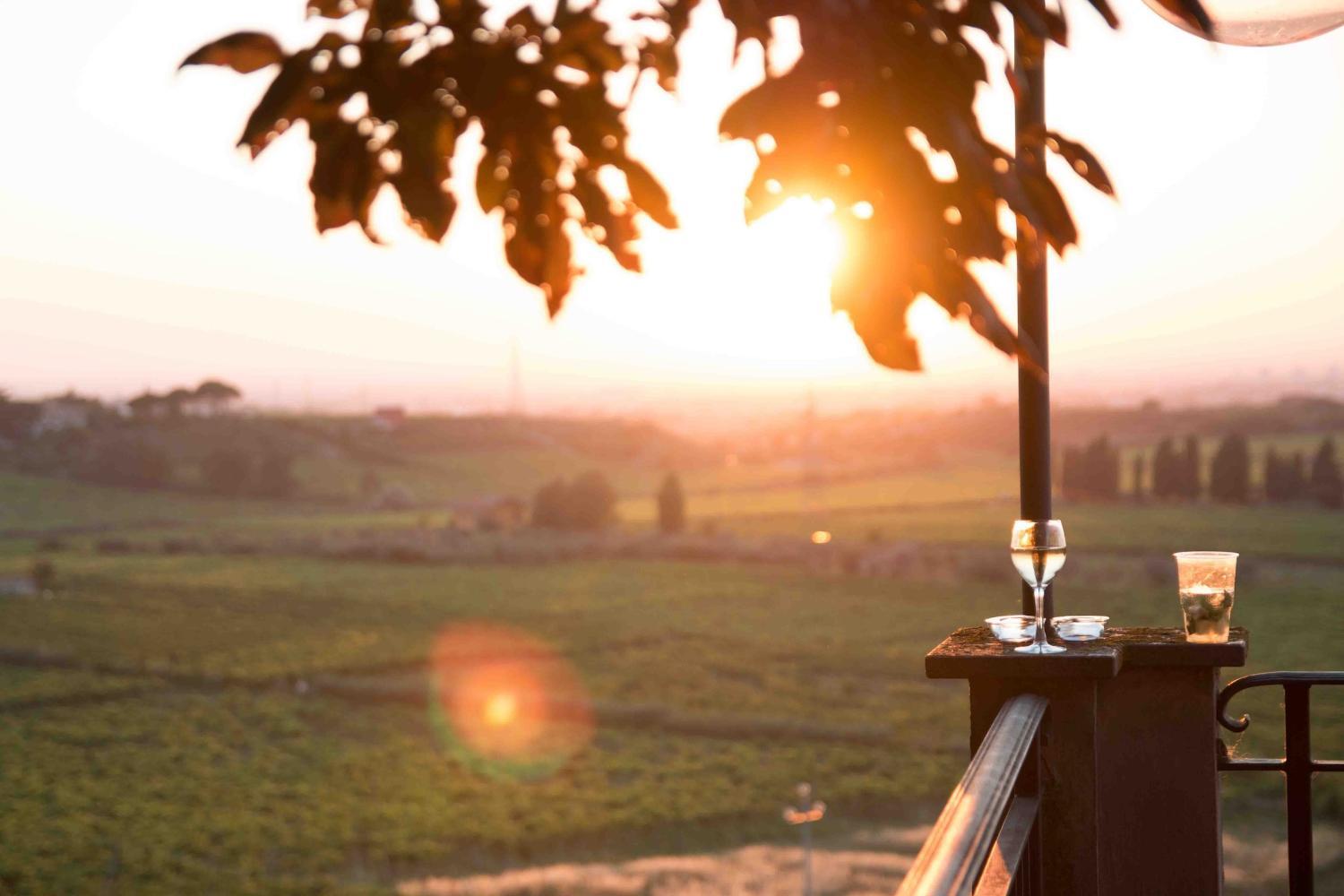 Winery Hotel - Merumalia Wine Resort3