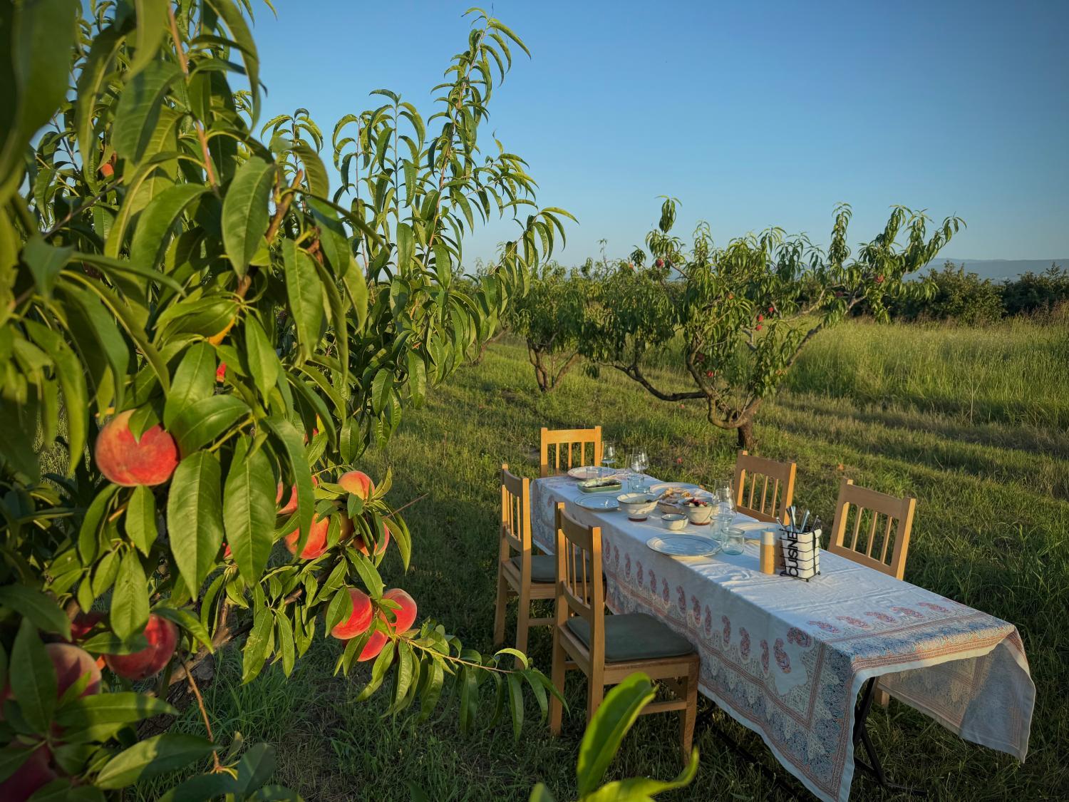 Winery Hotel - Mestvireni2