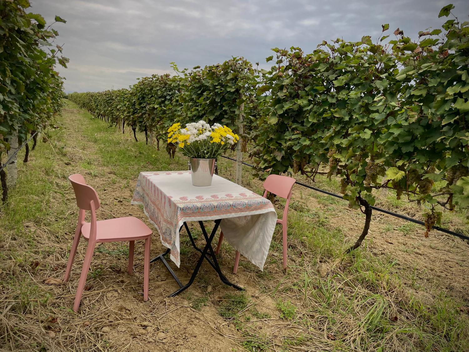 Winery Hotel - Mestvireni3