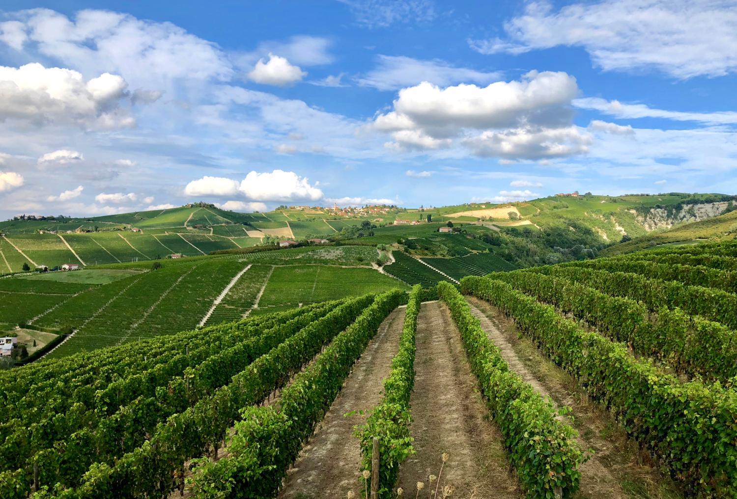 Hotel with winery - MiaClara Relais