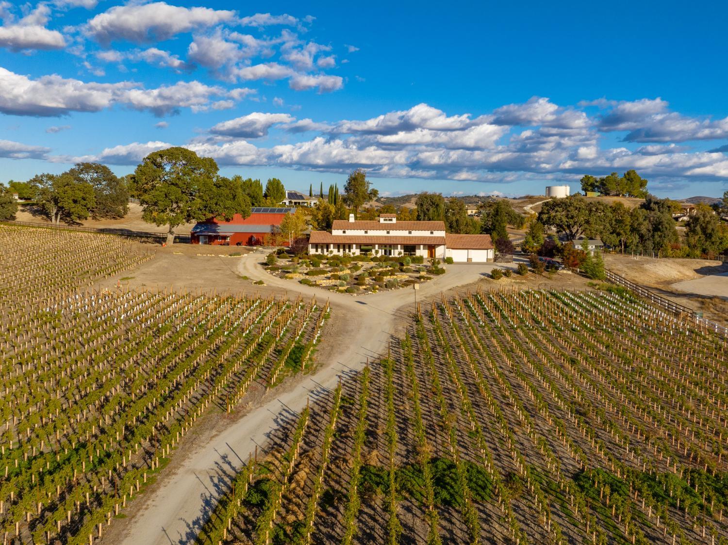 Hotel with winery - Mission Vineyard
