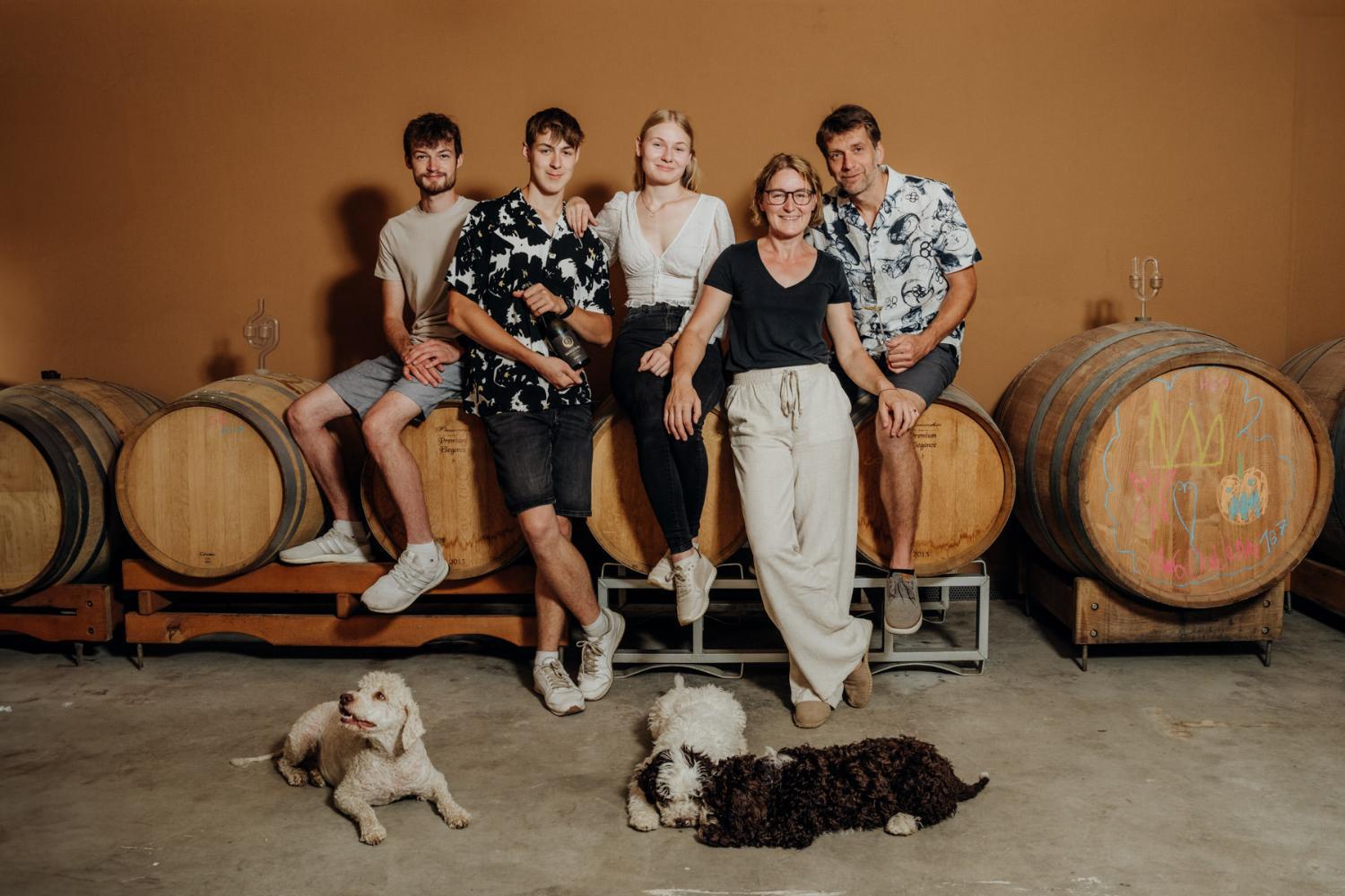 Hotel with winery - Monschein Weingut Straden