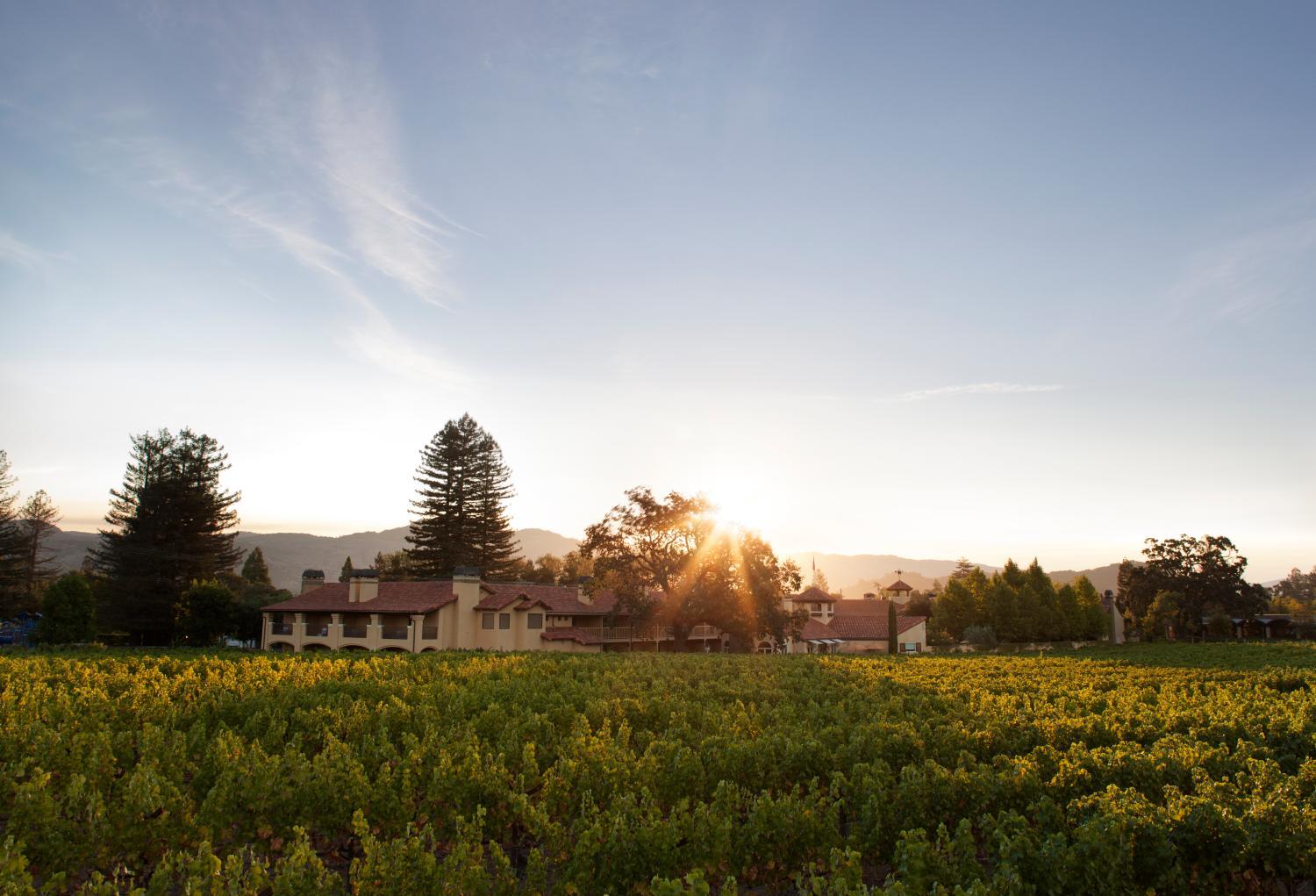 Hotel with winery - Napa Valley Lodge