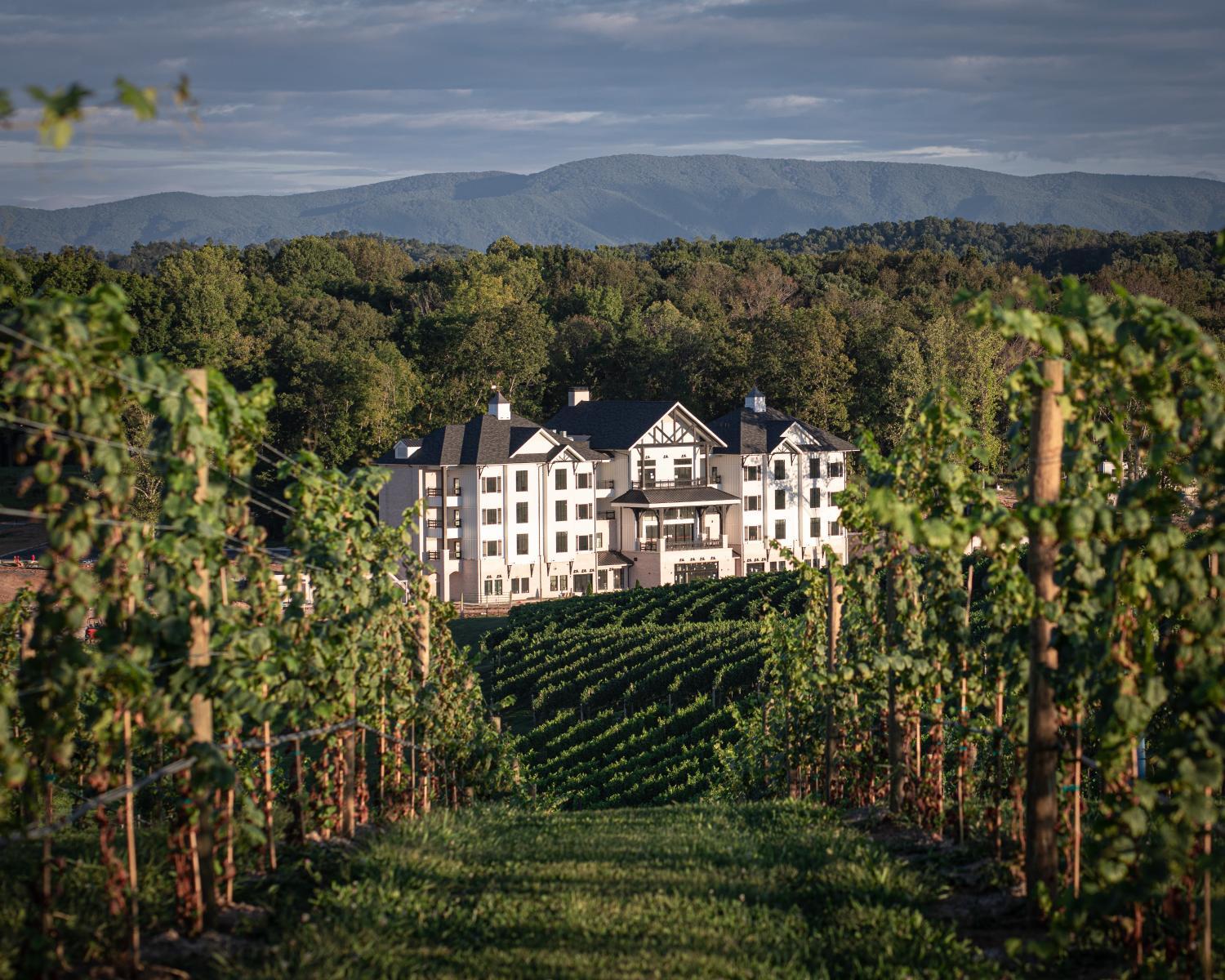 2 Best winery Hotels in Virginia
