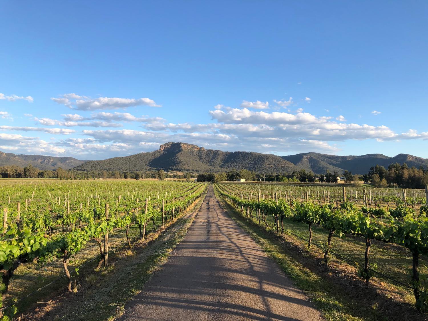 Hotel with winery - Nightingale Villas