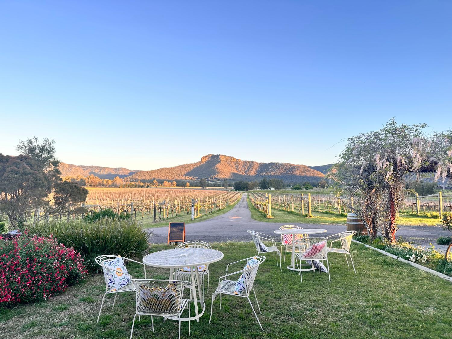 Winery Hotel - Nightingale Villas3