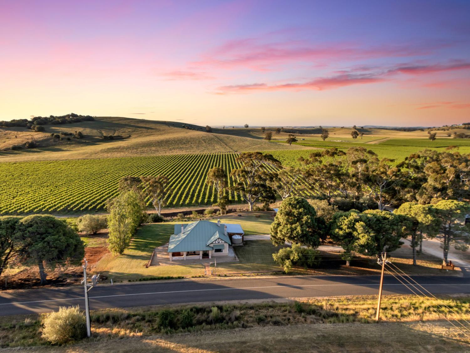 Norm's Vineyard Retreat photo 1