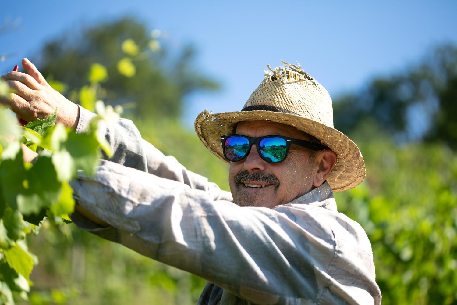 Winery Hotel - Old Walls Vineyard4