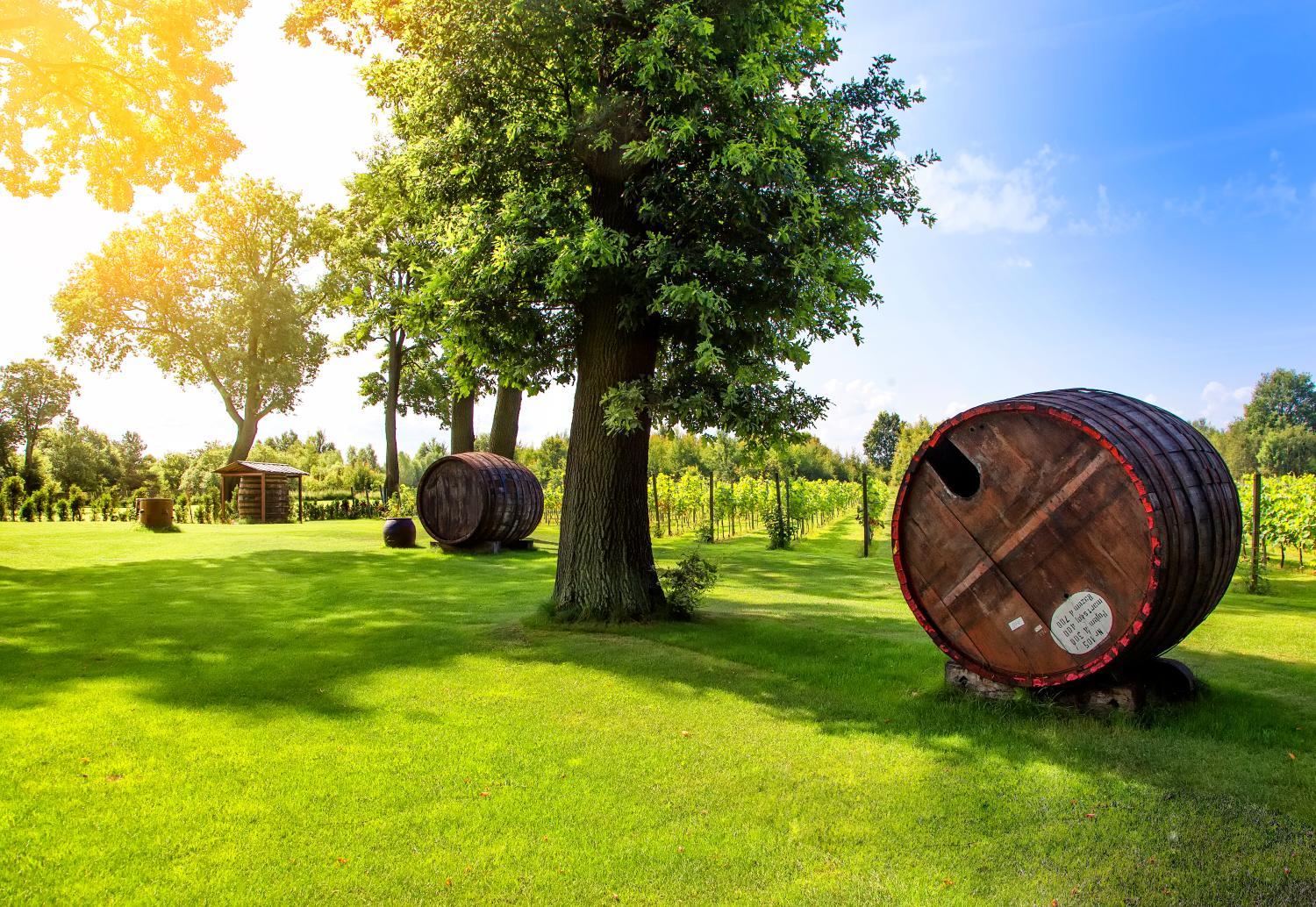 Winery Hotel - Pałac Wiechlice - Hotel, Restaurant, SPA1